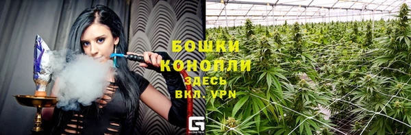 гидра Краснослободск