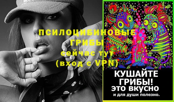 гидра Краснослободск