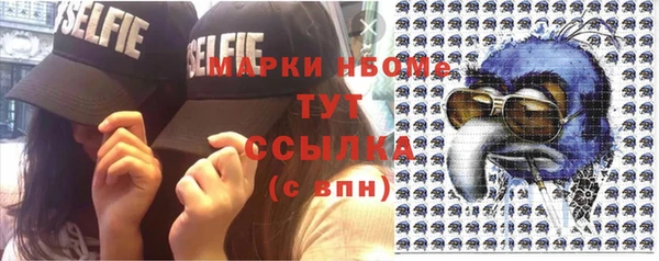 гидра Краснослободск