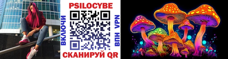 blacksprut зеркало Костомукша Псилоцибиновые грибы Magic Shrooms