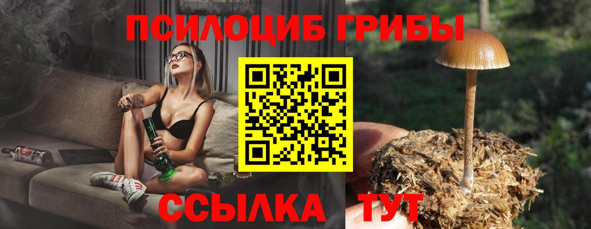 Псилоцибиновые грибы мухоморы  Вход с VPN  Костомукша 